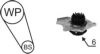 AIRTEX WPK-195801 Water Pump & Timing Belt Kit